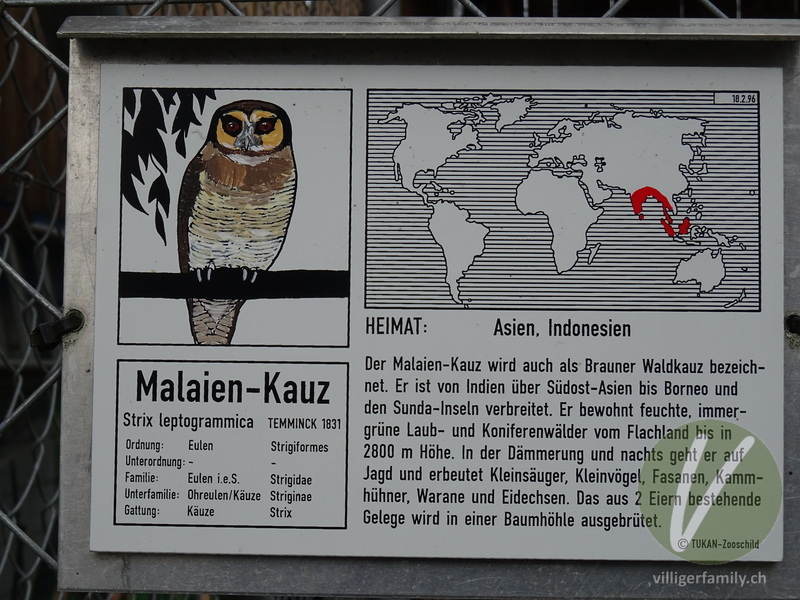 Malaienkauz: Namensschild