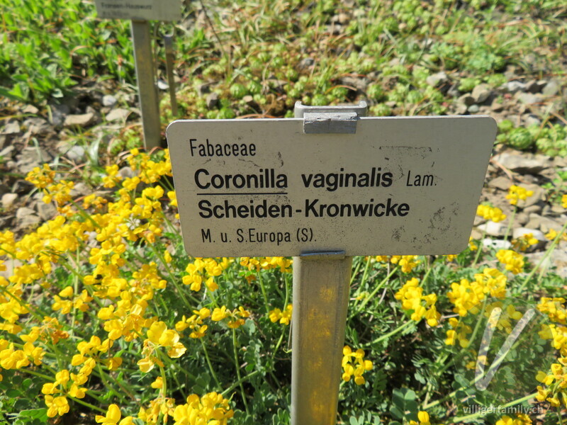 Scheiden-Kronwicke: Namensschild
