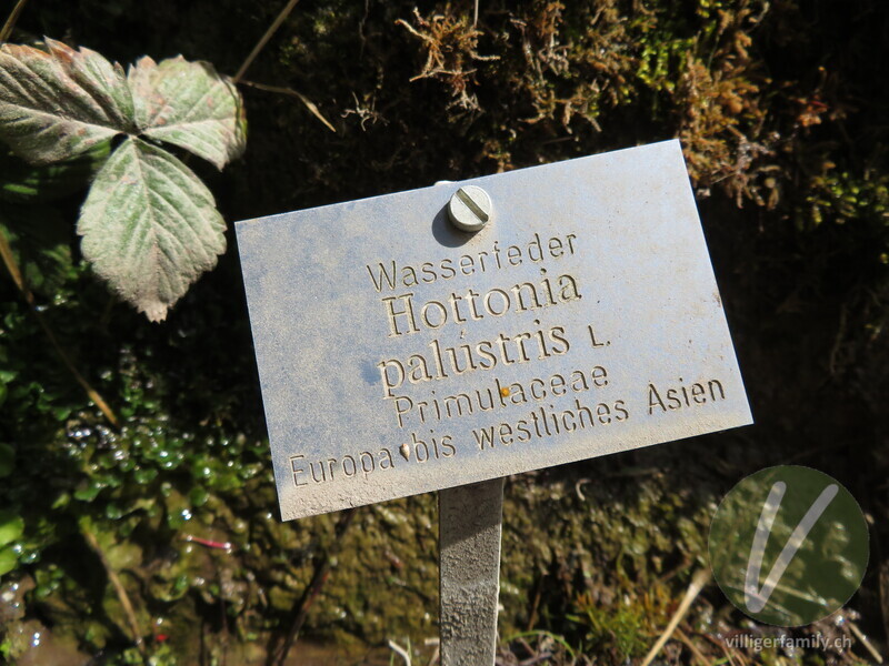 Wasserfeder: Namensschild